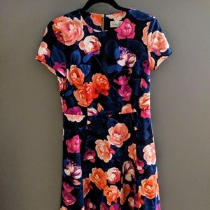 Eliza J Navy Fit and Flare Floral Dress Size 8